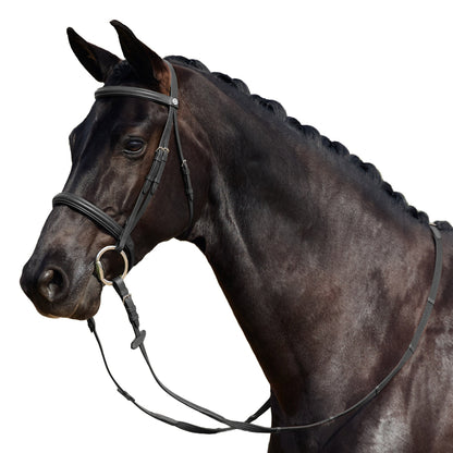 Dublin Padded Cavesson Bridle
