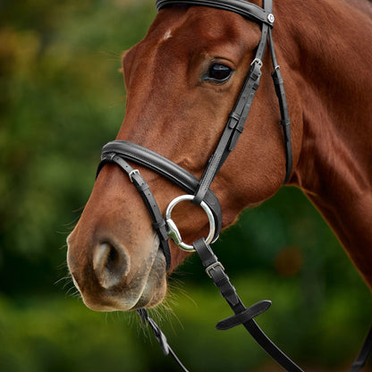 Dublin Flash Bridle