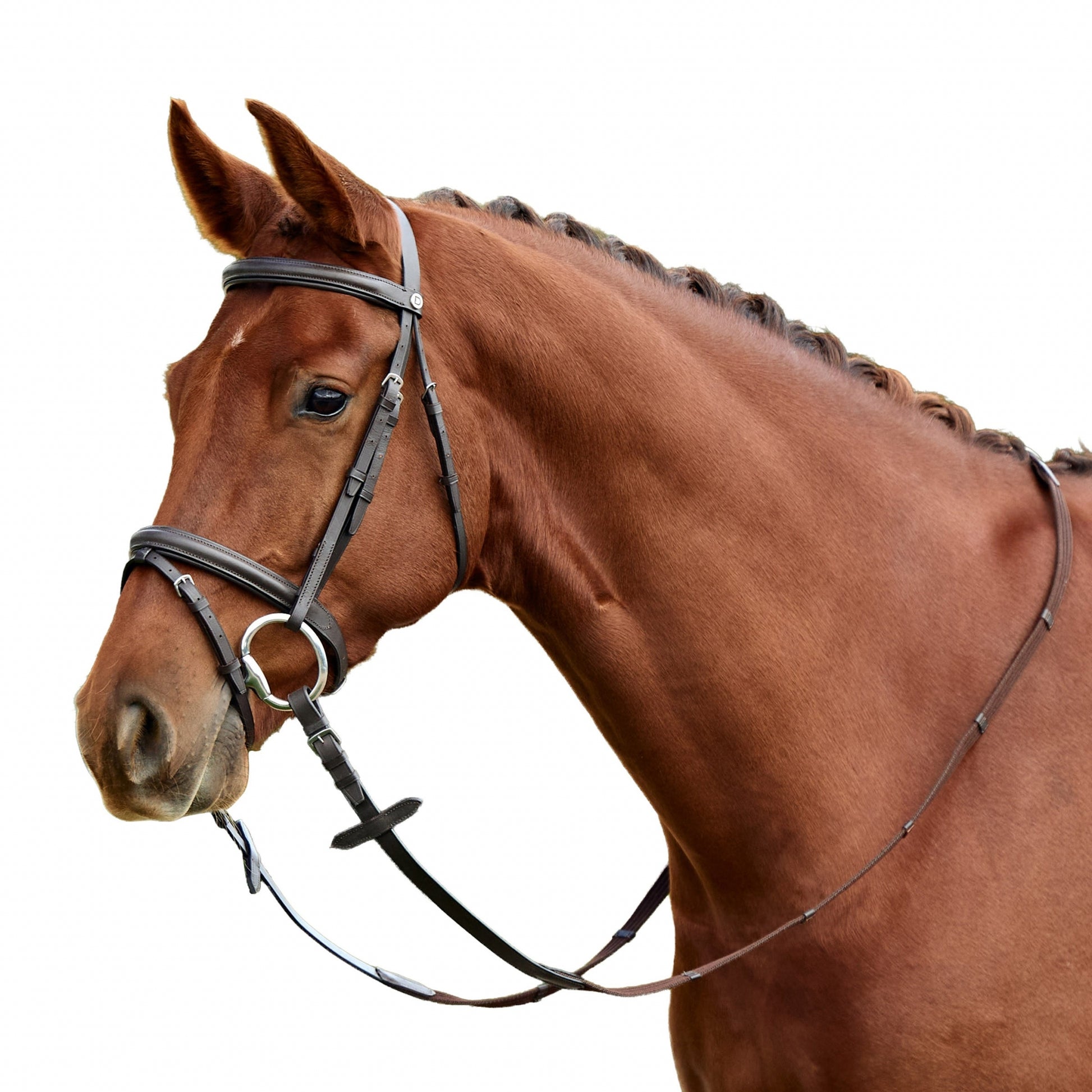 Dublin Flash Bridle