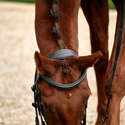 Dublin Padded Flash Bridle