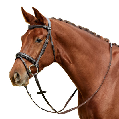 Dublin Padded Flash Bridle