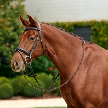 Dublin Padded Flash Bridle