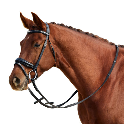 Dublin Padded Patent Flash Bridle