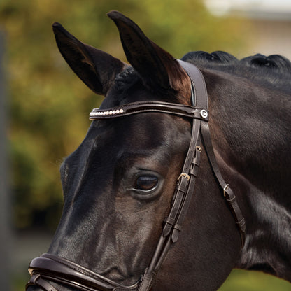 Dublin Patent Bridle