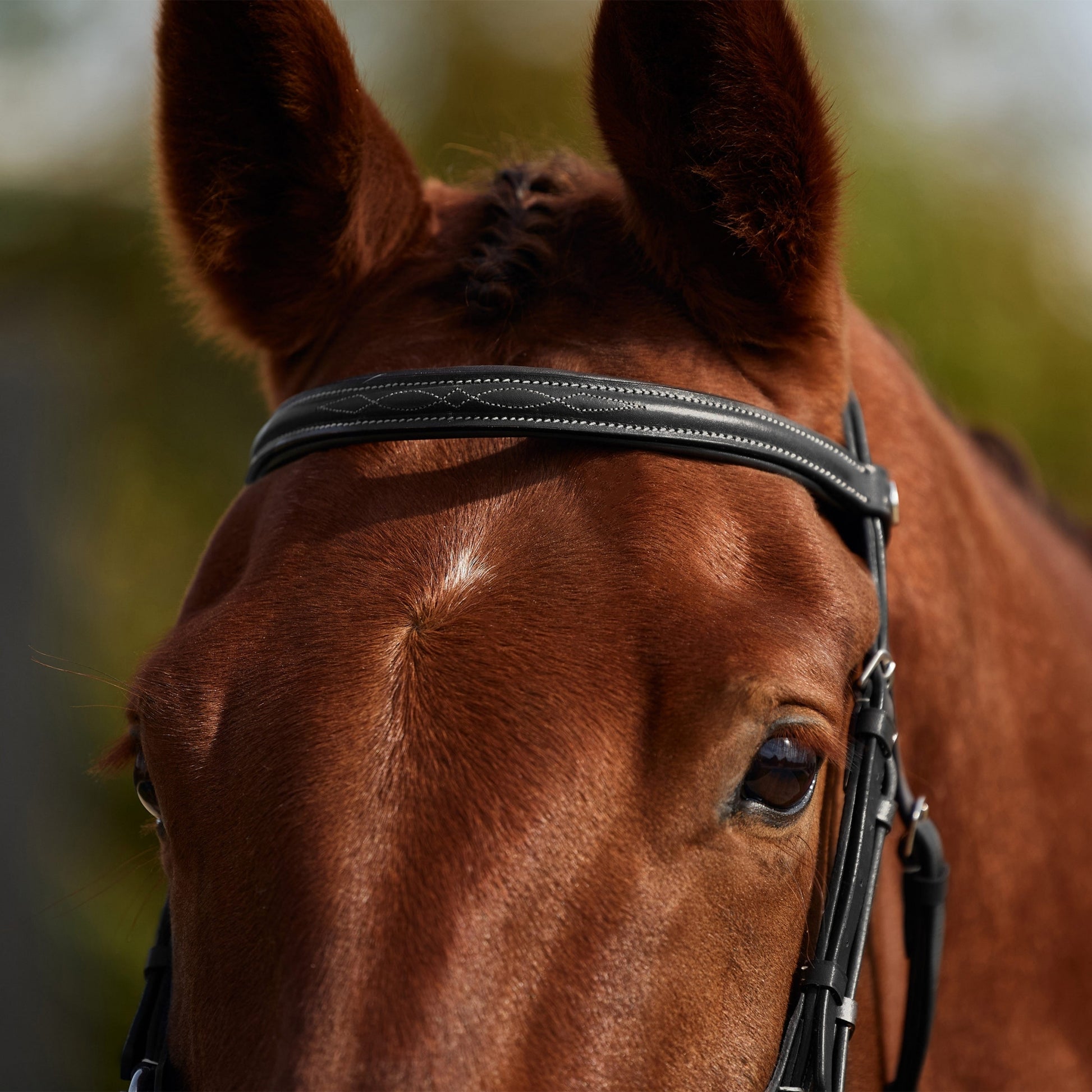 Dublin Padded Fancy Stitch Grackle Bridle