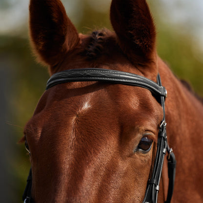 Dublin Padded Fancy Stitch Grackle Bridle