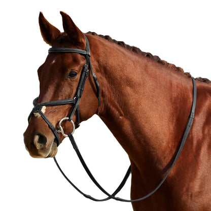 Dublin Padded Fancy Stitch Grackle Bridle