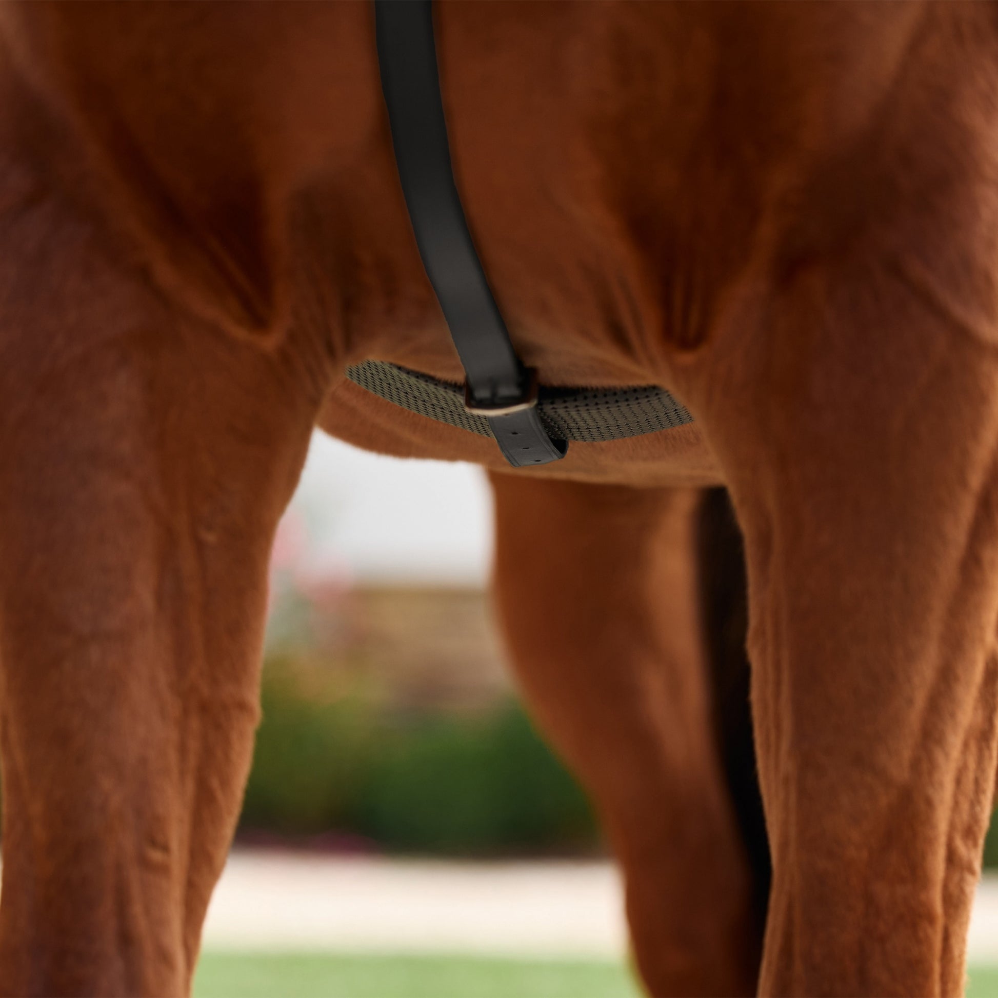 Dublin 5-Point Event Breastplate