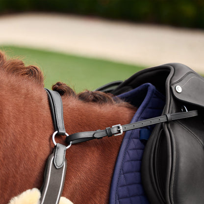 Dublin 5-Point Event Breastplate