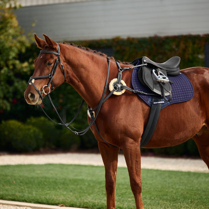 Dublin 5-Point Event Breastplate
