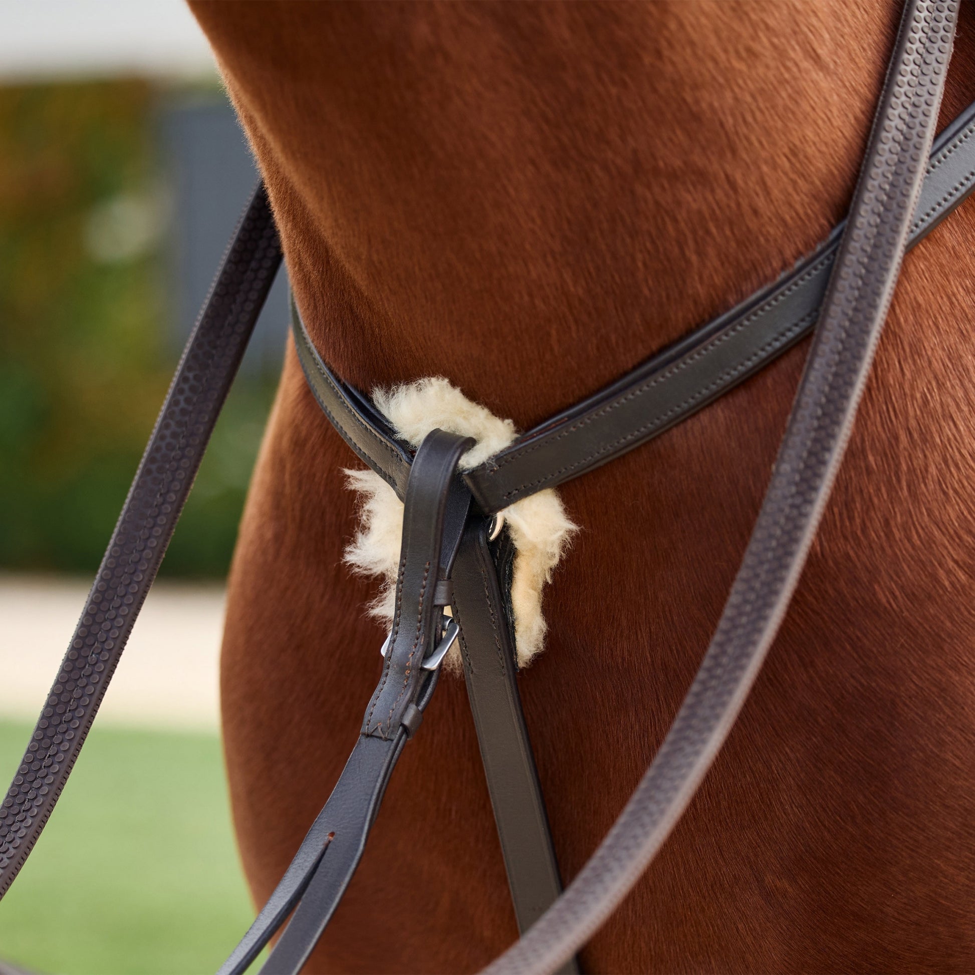 Dublin 5-Point Event Breastplate