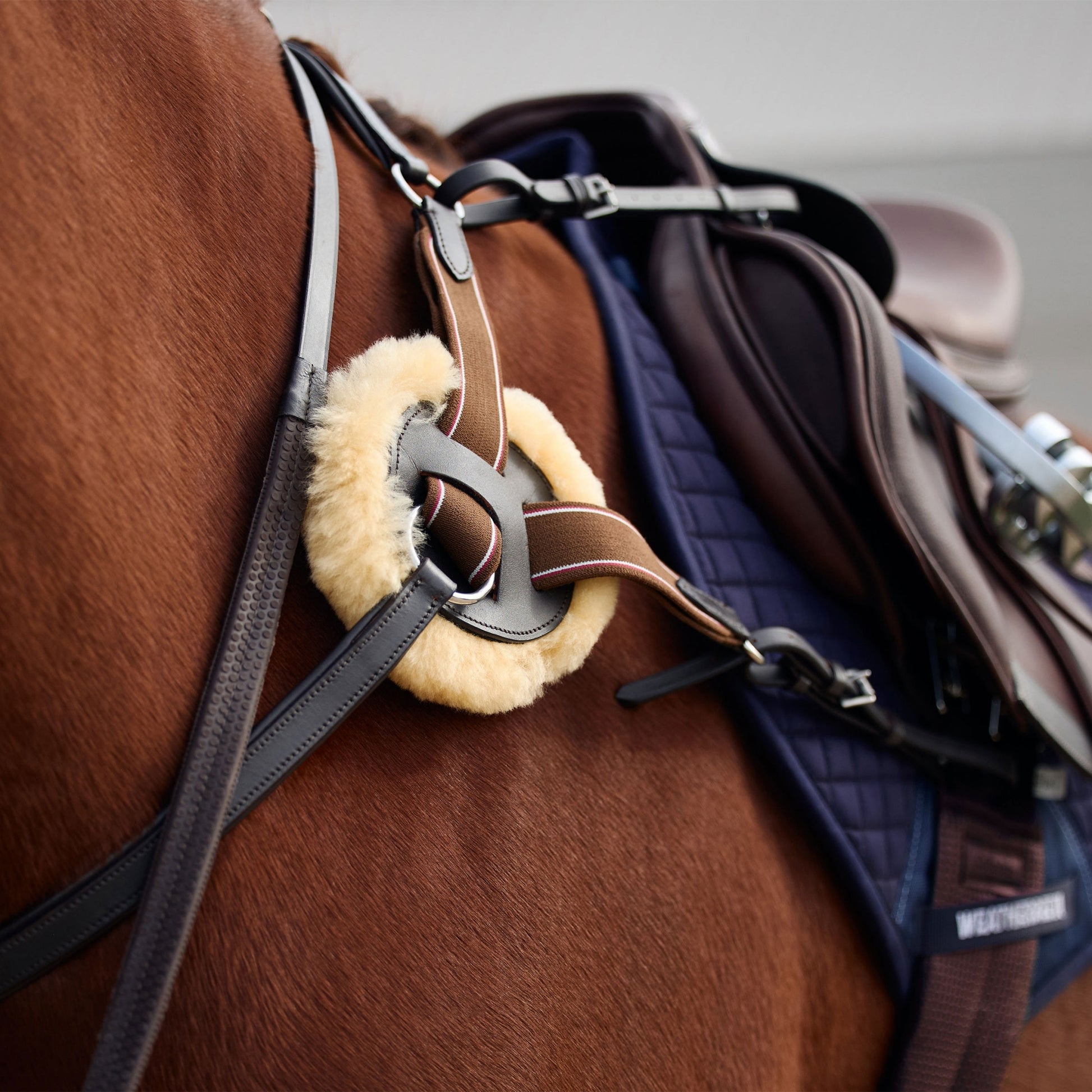 Dublin 5-Point Event Breastplate