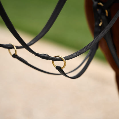 Dublin 3-Point Breastplate