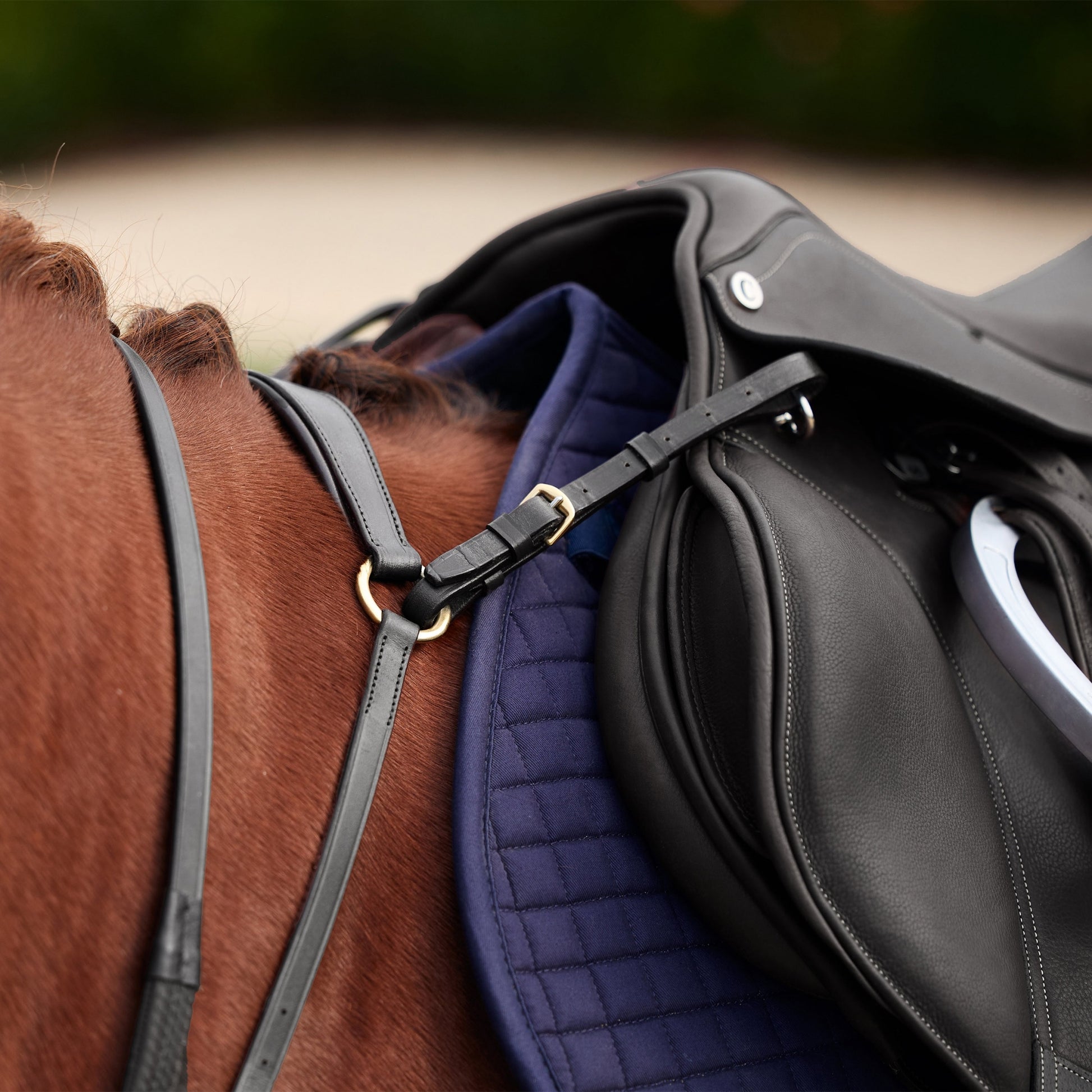 Dublin 3-Point Breastplate