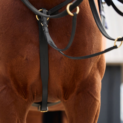 Dublin 3-Point Breastplate