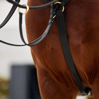 Dublin 3-Point Breastplate
