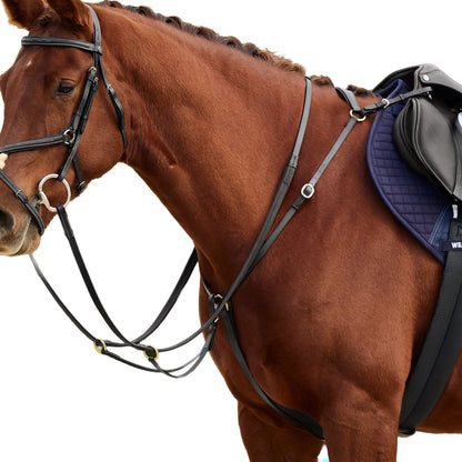 Dublin 3-Point Breastplate