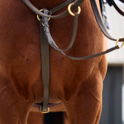 Dublin 3-Point Breastplate
