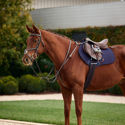 Dublin 3-Point Breastplate