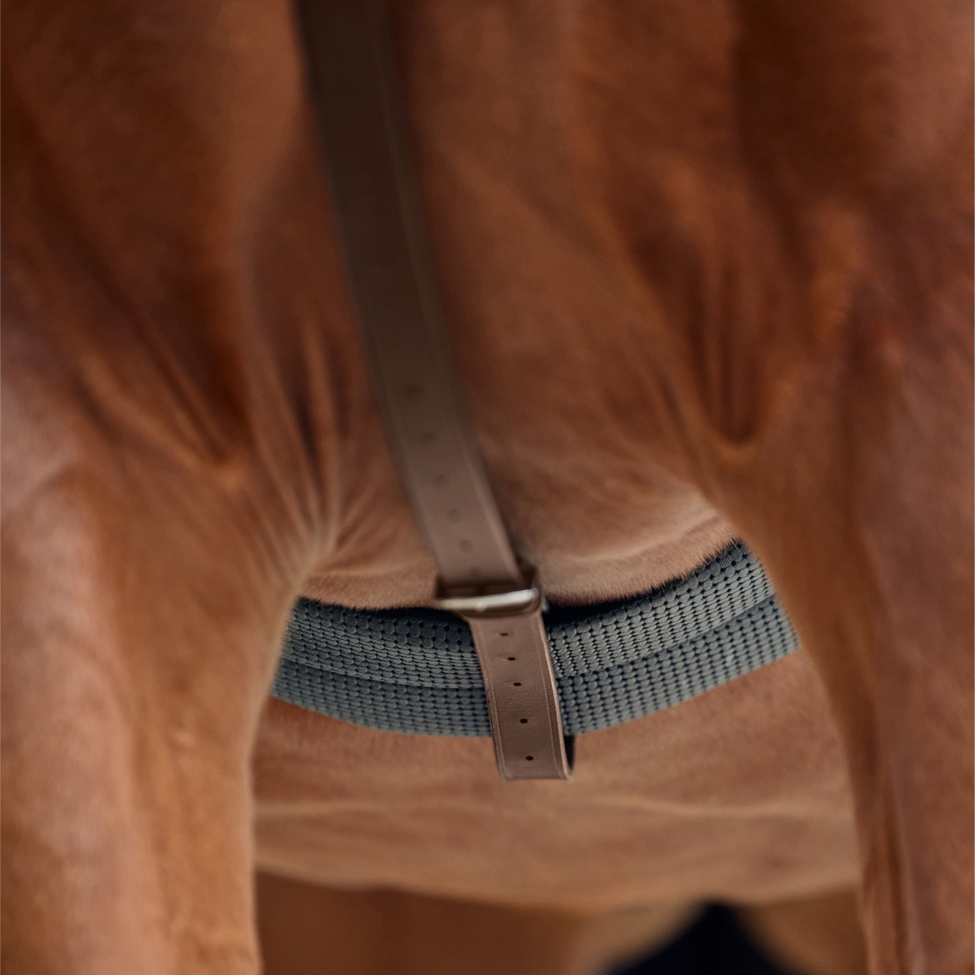 Dublin Running Martingale