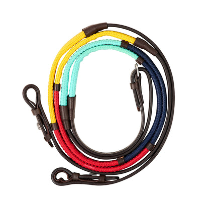 Dublin Rainbow Reins