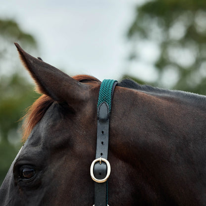 Dublin Braided Leather Headcollar