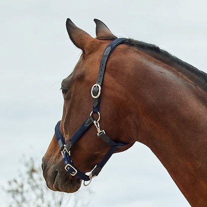 Dublin Braided Leather Headcollar