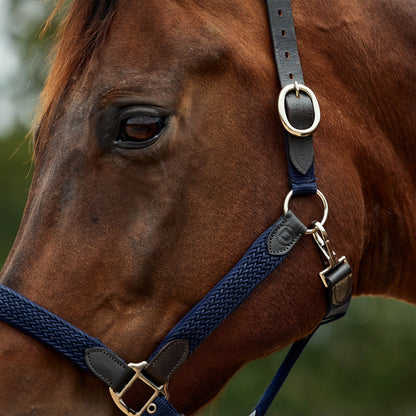 Dublin Braided Leather Headcollar