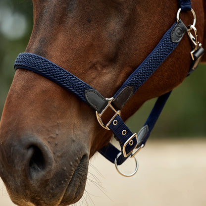 Dublin Braided Leather Headcollar