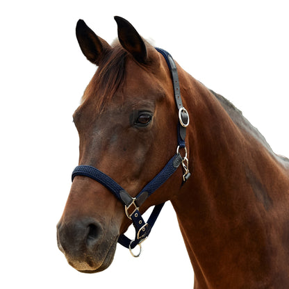 Dublin Braided Leather Headcollar