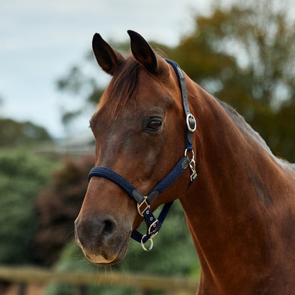 Dublin Braided Leather Headcollar