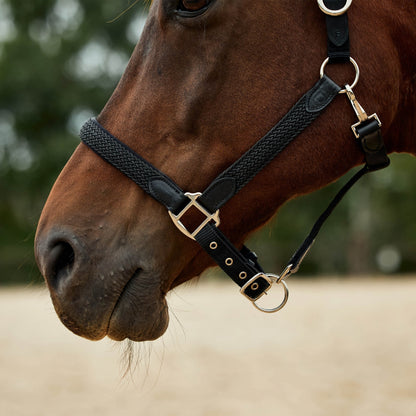 Dublin Braided Leather Headcollar