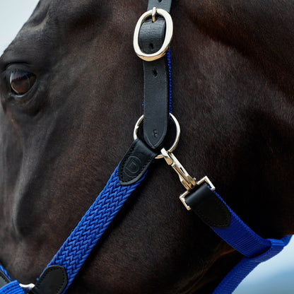Dublin Braided Leather Headcollar