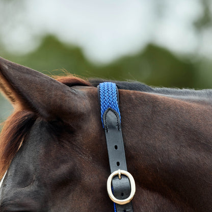 Dublin Braided Leather Headcollar