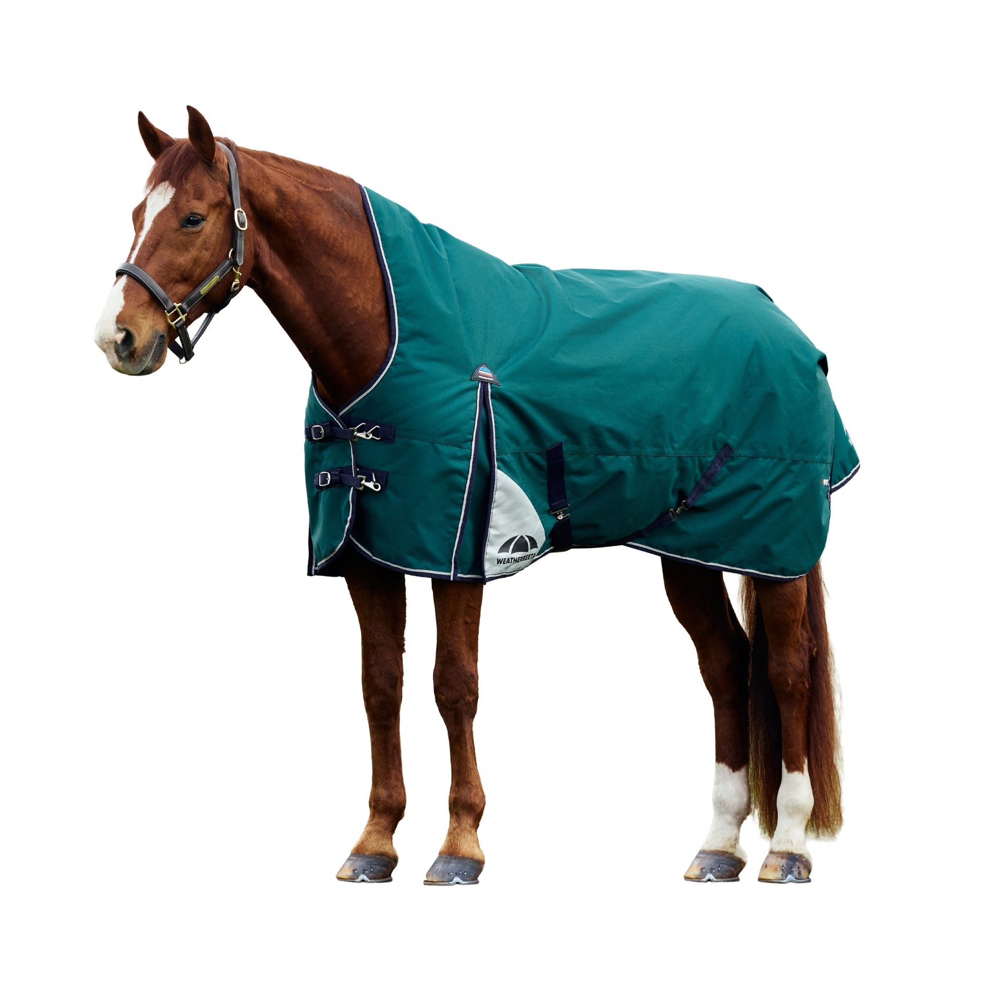 Weatherbeeta ComFiTec Plus Dynamic Turnout High Neck 100g