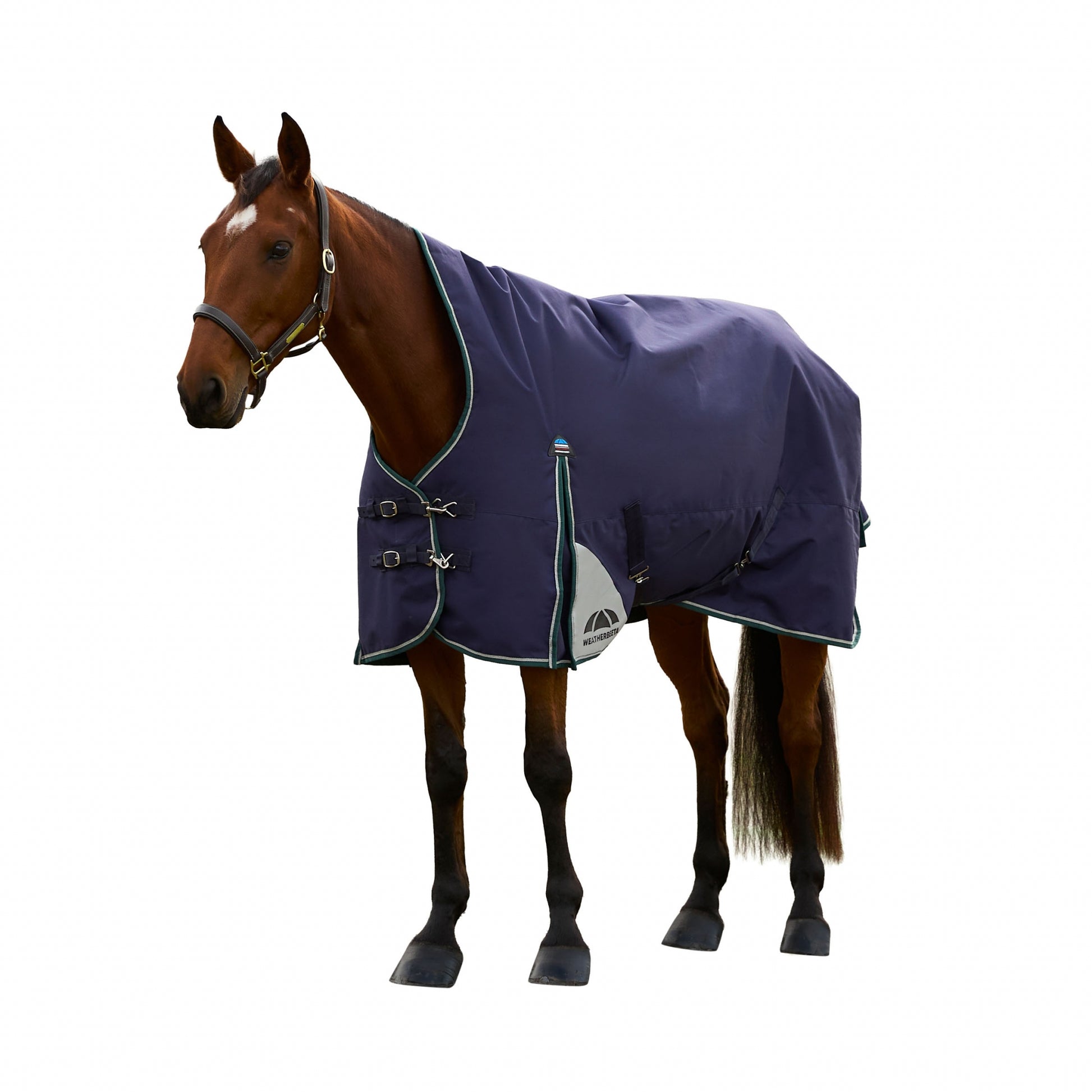 Weatherbeeta ComFiTec Plus Dynamic Turnout High Neck 100g