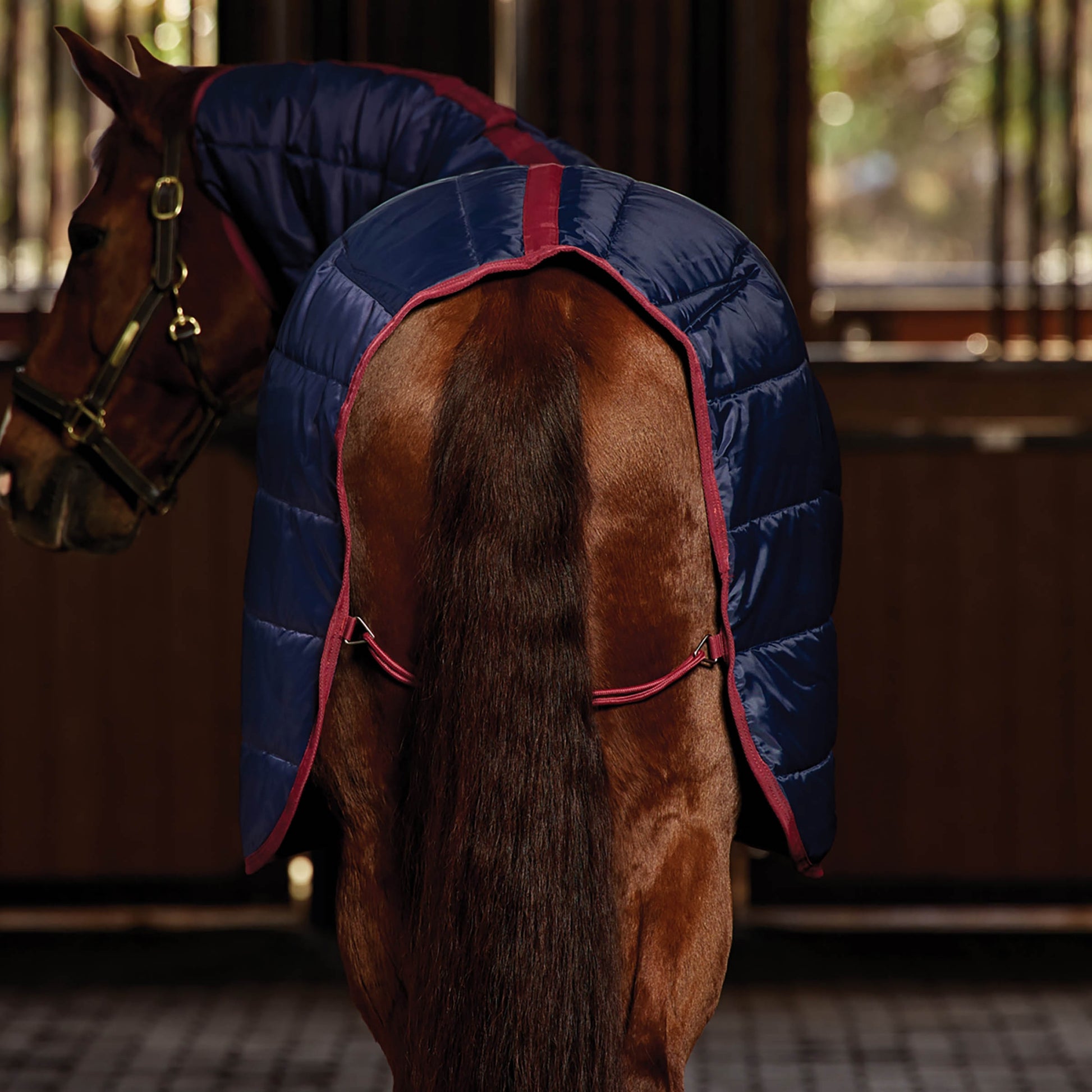 Weatherbeeta Stable Rug Combo 360g