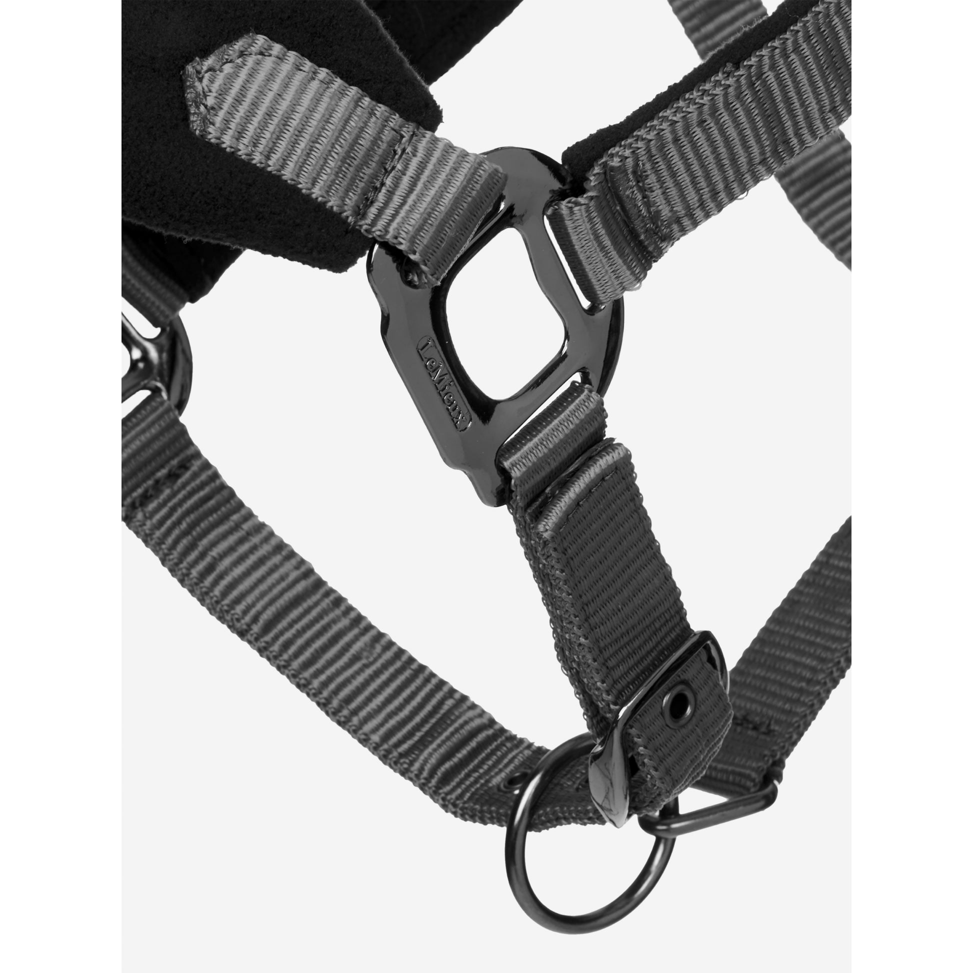 Lemieux Vogue Halter & Leadrope