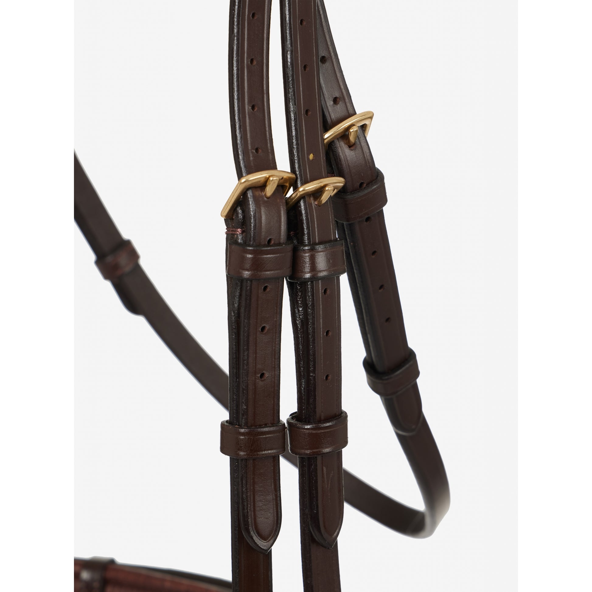 LeMieux Kudos Competition Flash Bridle