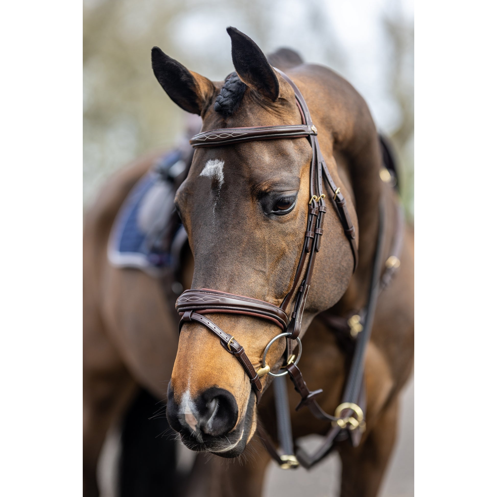 LeMieux Kudos Competition Flash Bridle