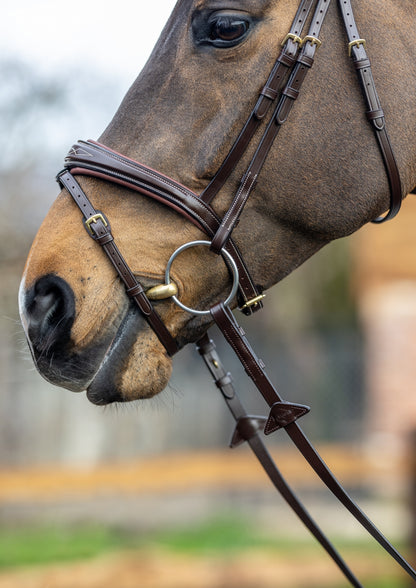 LeMieux Kudos Competition Flash Bridle
