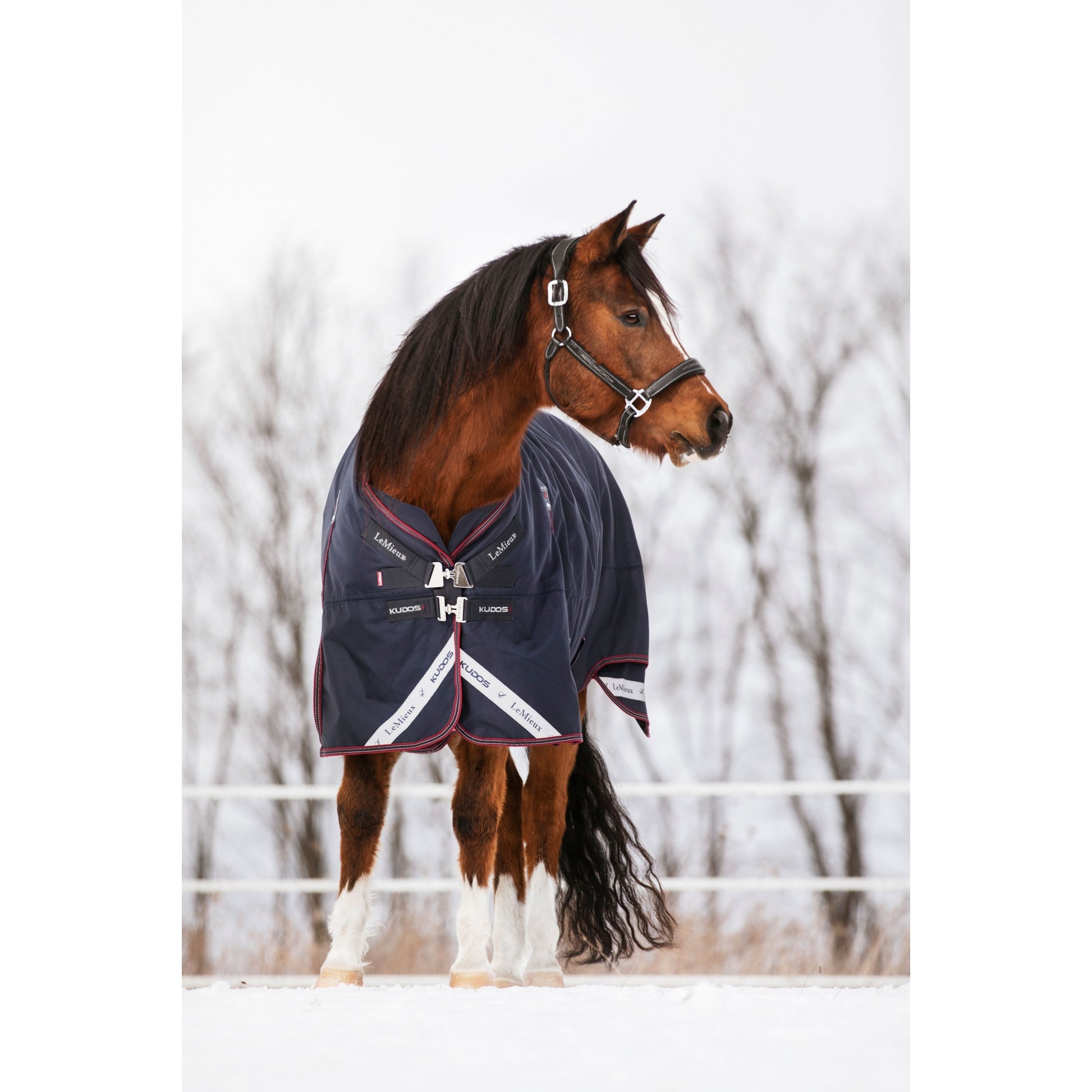 LeMieux Kudos Turnout Rug 200g