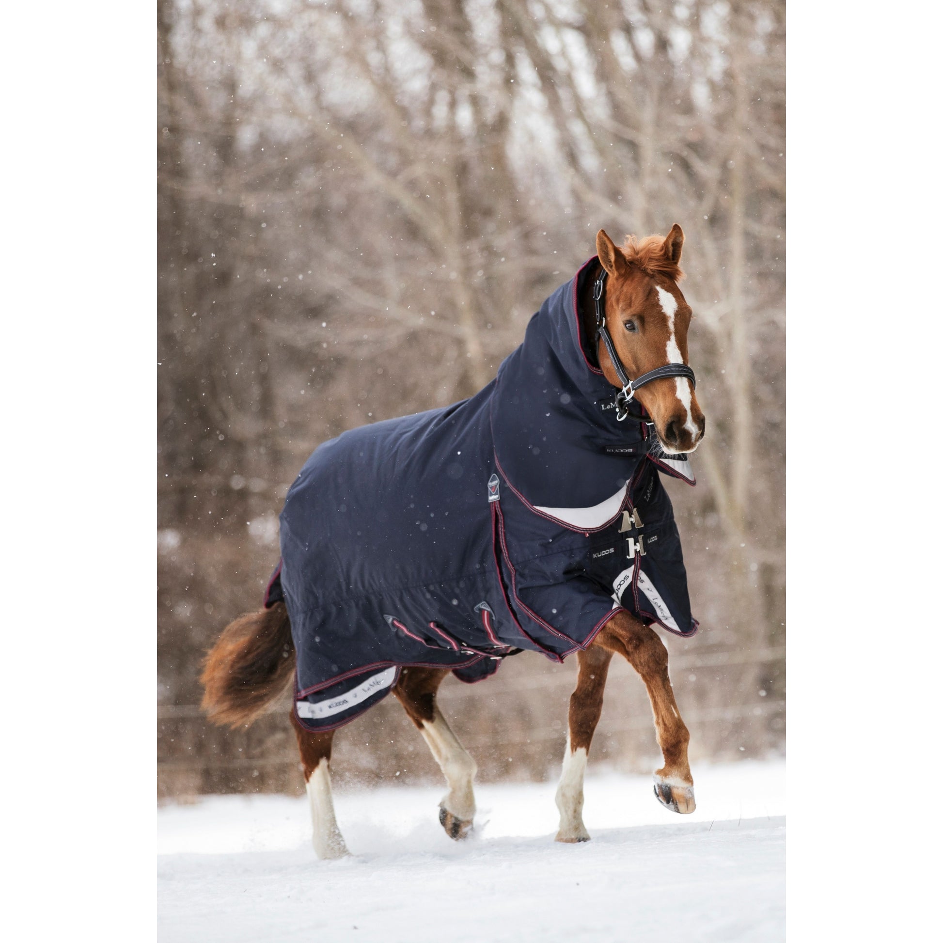 LeMieux Kudos Turnout Rug 200g