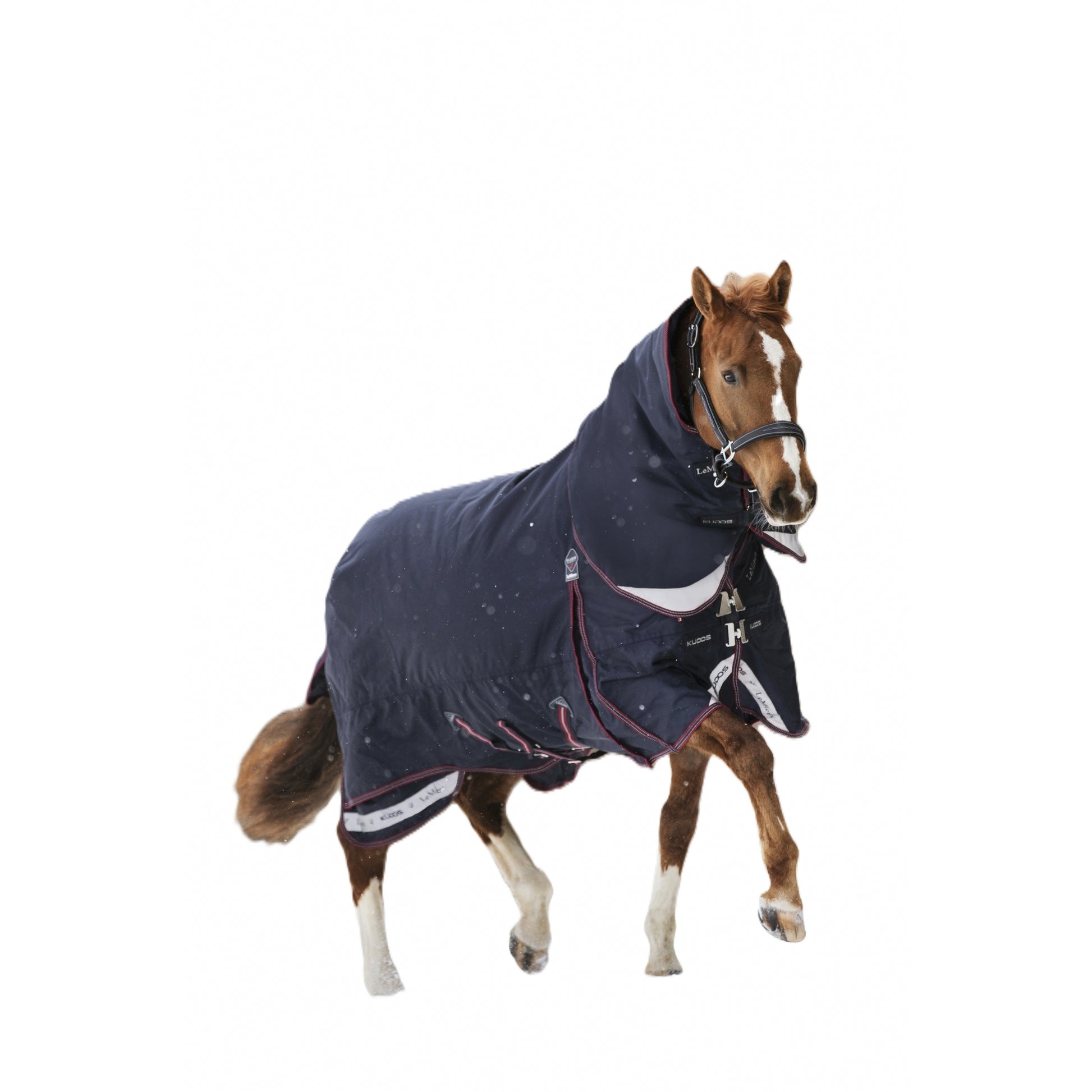 LeMieux Kudos Turnout Rug 200g
