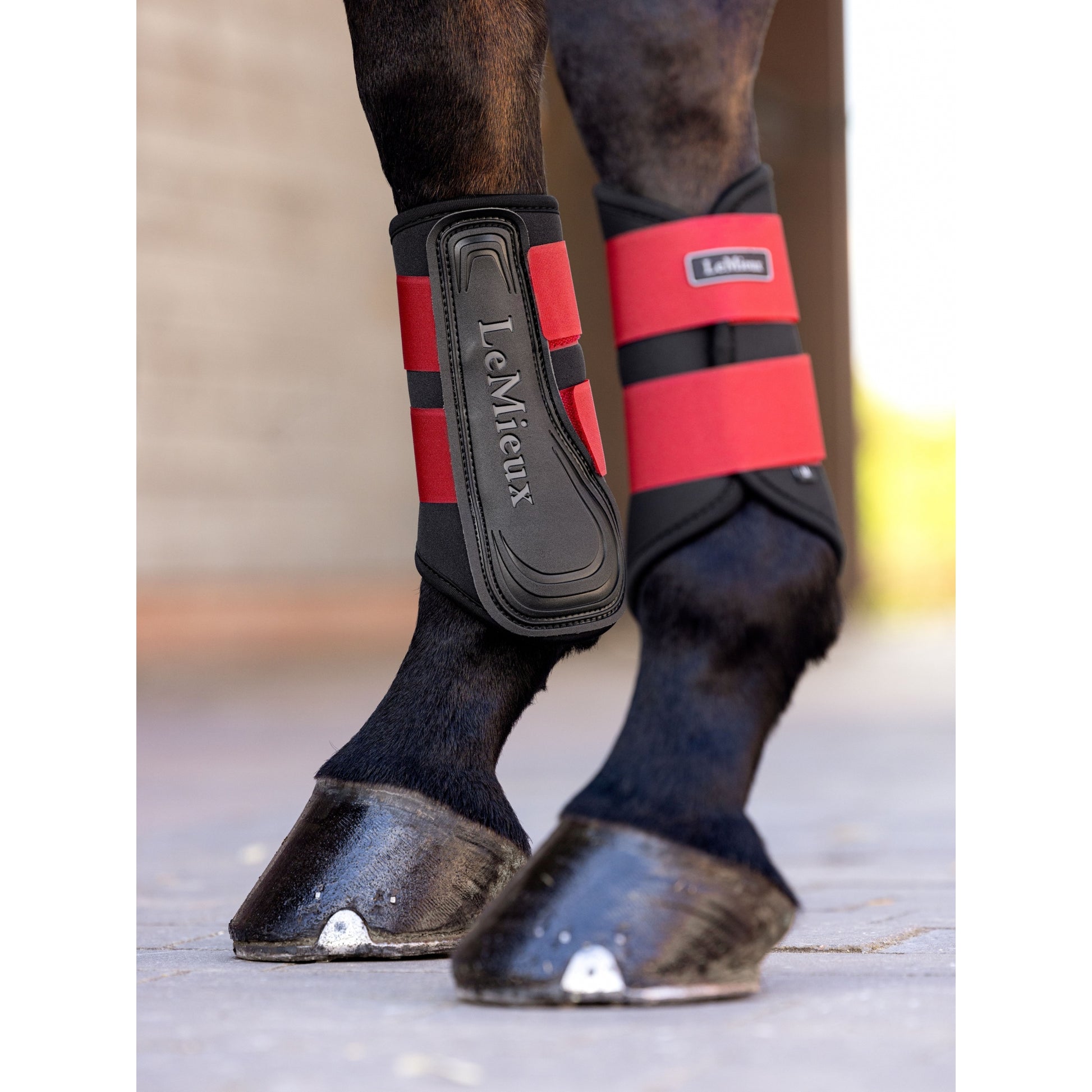 Lemieux Grafter Brushing Boots