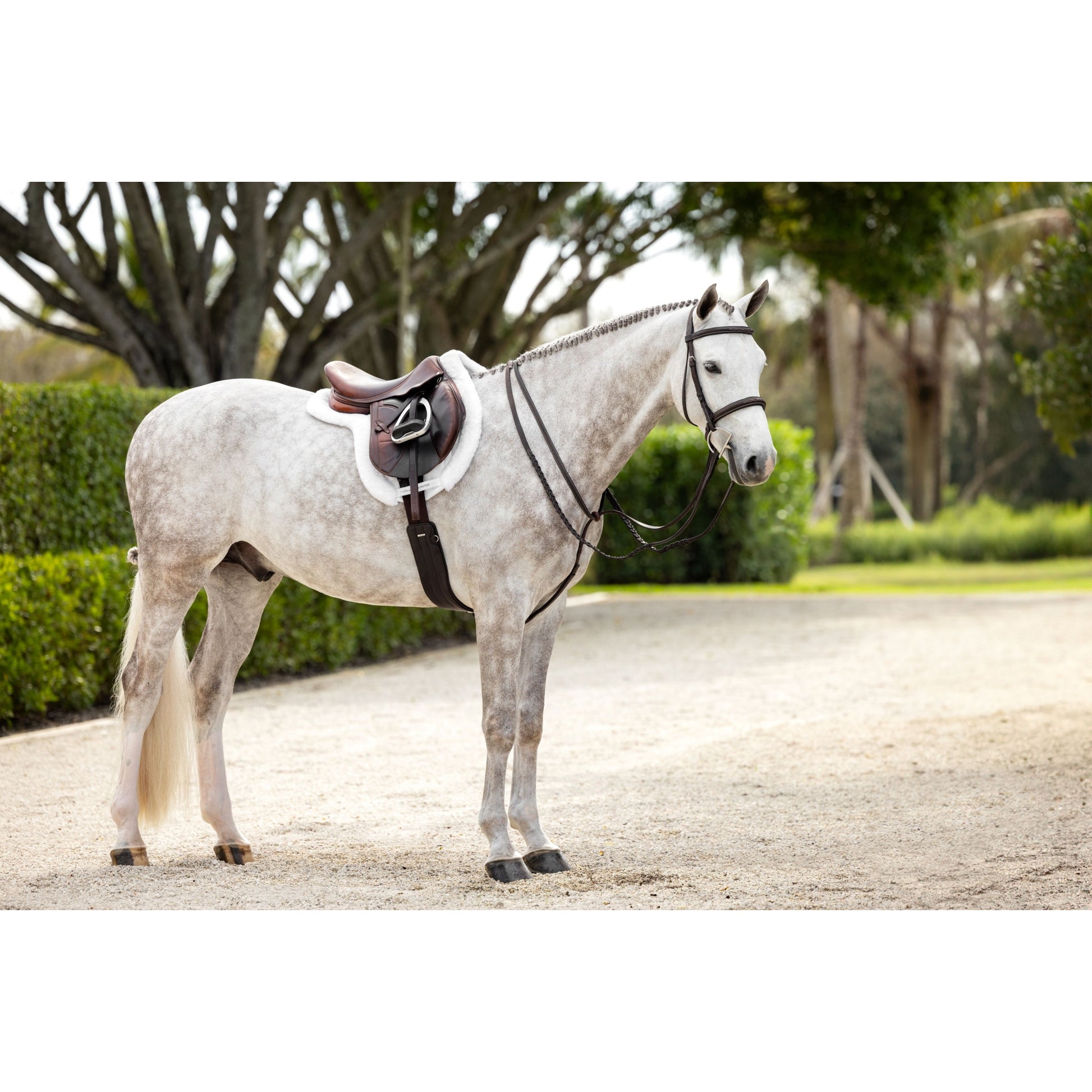LeMieux Stitched Hunter Bridle with Laced Reins