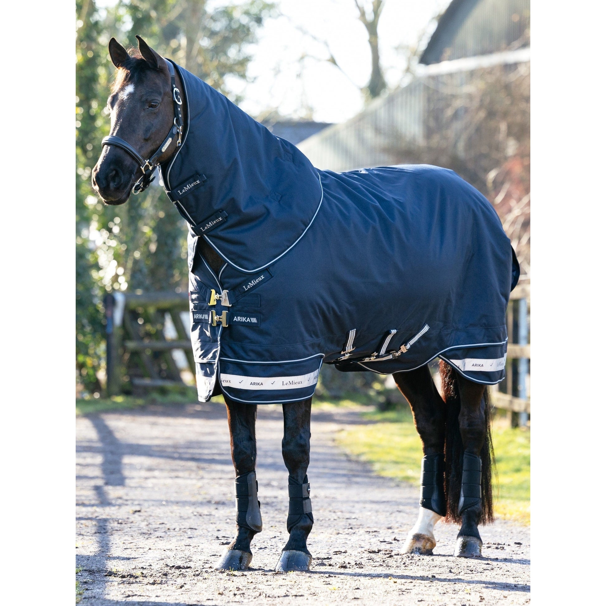 LeMieux Arika Storm-Tek Rug 100g