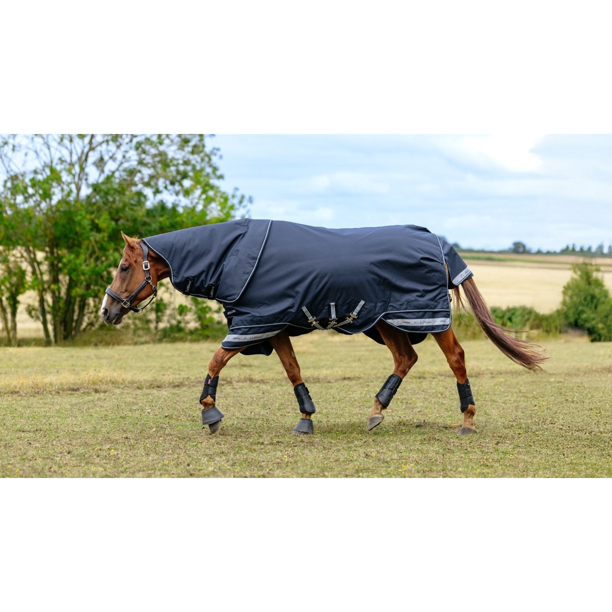 LeMieux Arika Storm-Tek Rug 200g