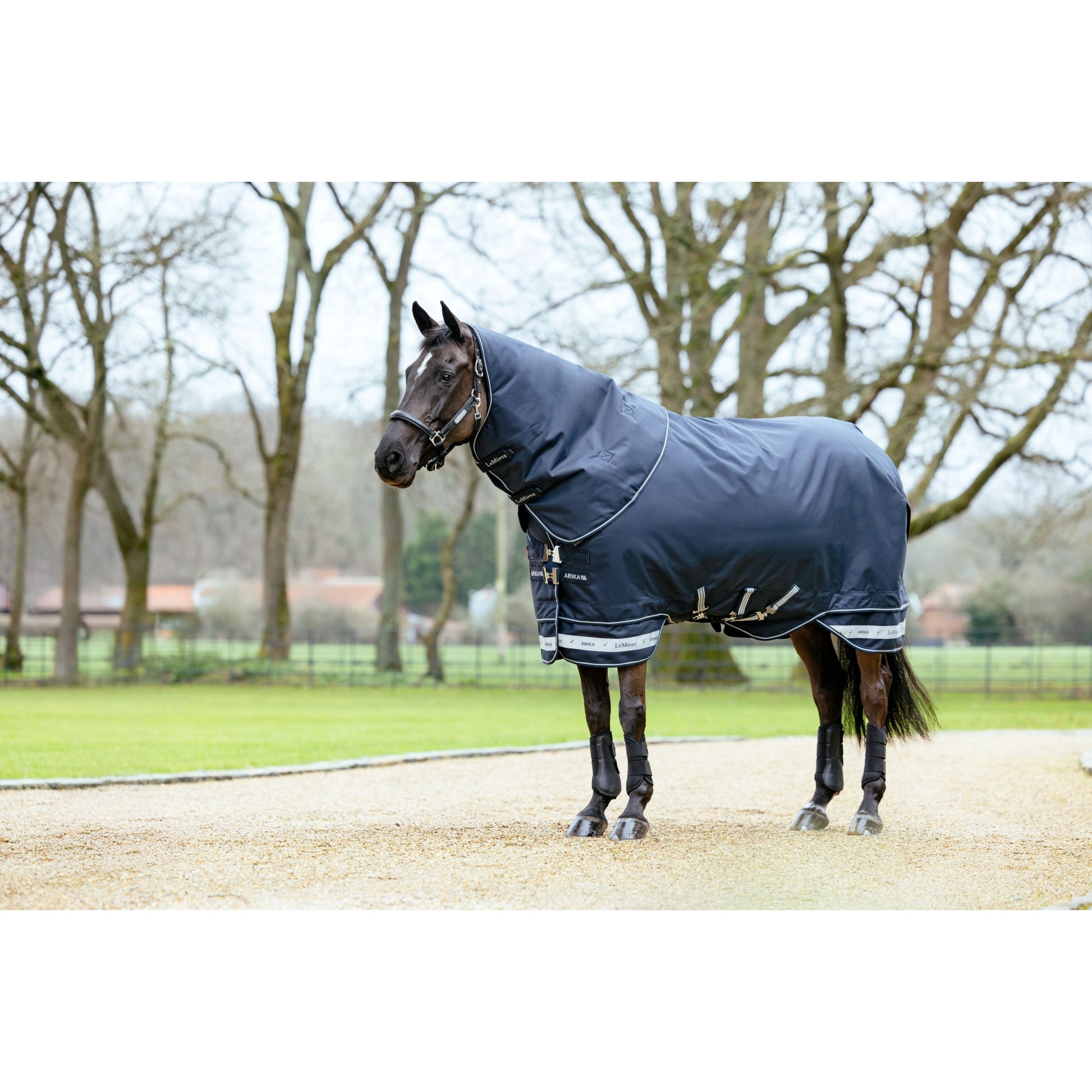 LeMieux Arika Storm-Tek Rug 350g