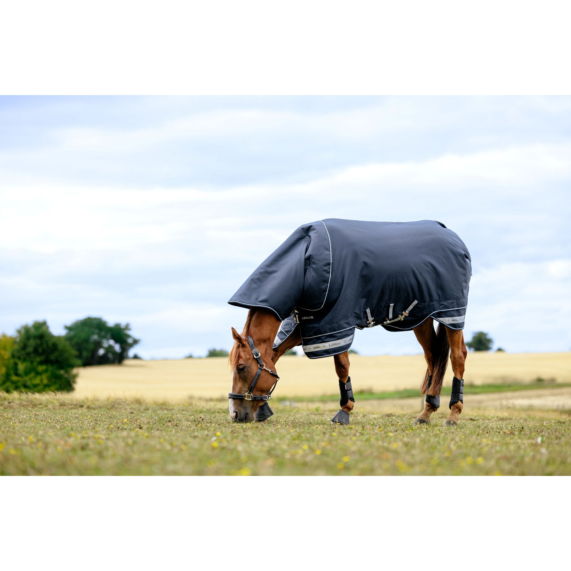 LeMieux Arika Storm-Tek Rug 350g
